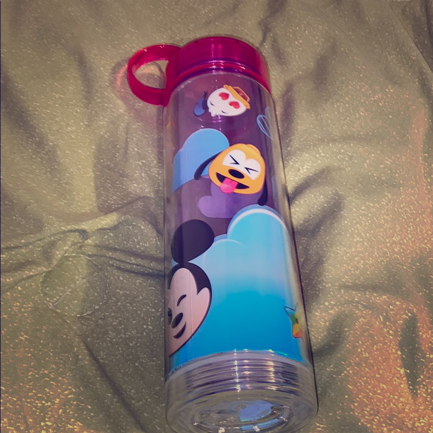 Disney Water Bottle